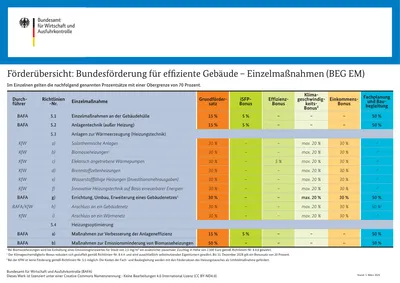 BAFA-Förderübersicht Vorschau